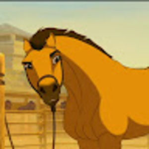 Meet your Posher, Cecily